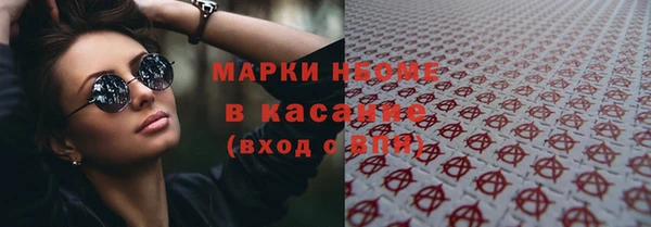 твердый Бородино