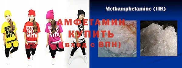 твердый Бородино