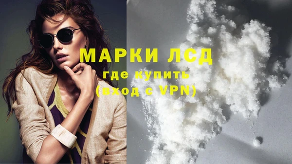 твердый Бородино