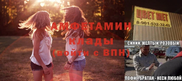 твердый Бородино