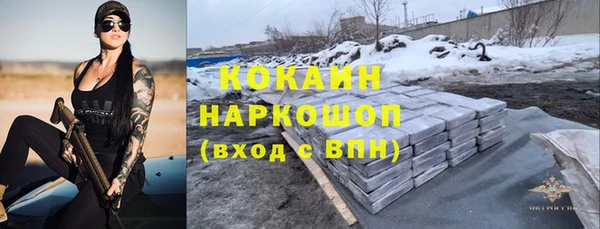 твердый Бородино