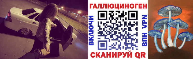 Купить  Суровикино  Галлюциногенные грибы прущие грибы 