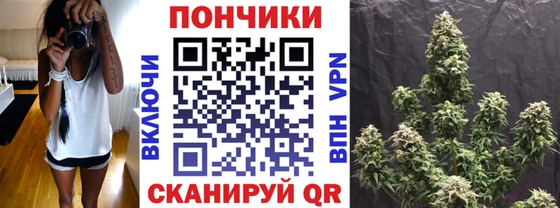 Купить  Суровикино  Бошки Шишки индика 
